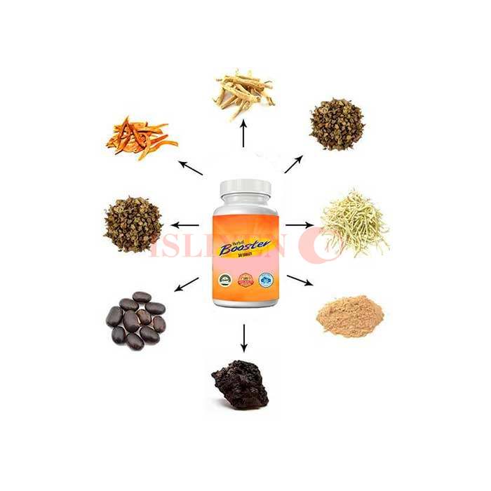 पुरुष शक्ति के लिए उपाय Herbal Booster लुधियाना में