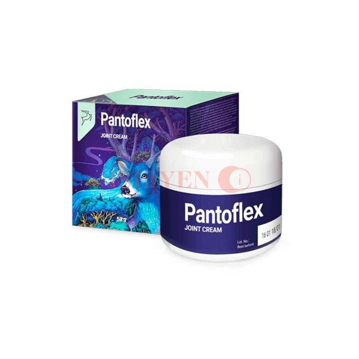 Pantoflex